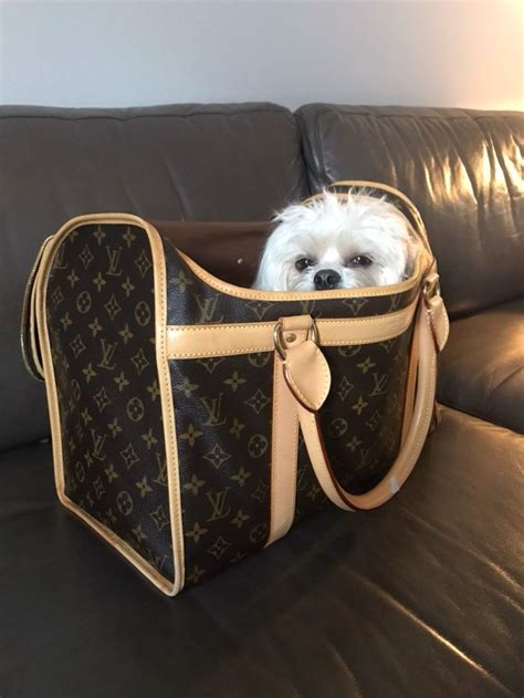 louis vuitton dog carrier 50 replica|designer dog harness louis vuitton.